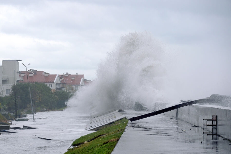 Очевидцы рассказали, что животные почувствовали приближение шторма в&nbsp;Крыму 