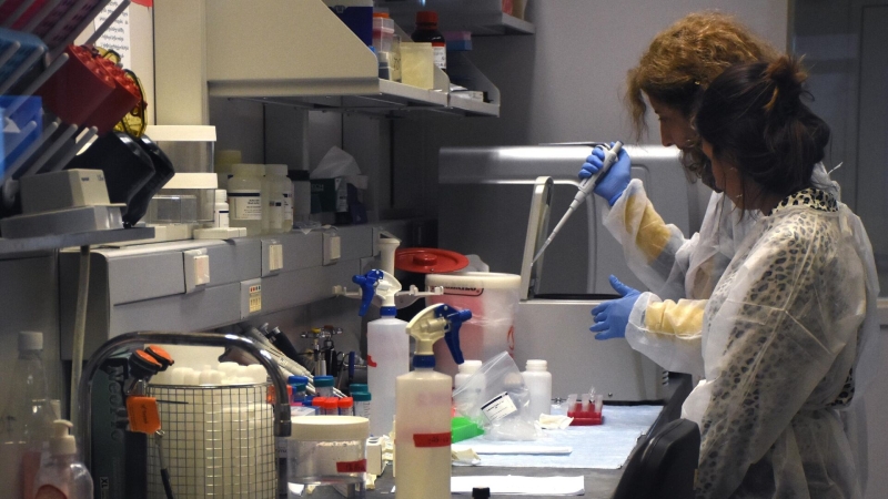 Эксперт заявила о возможном происхождения болезни Лайма из лабораторий США